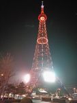 电视塔夜景