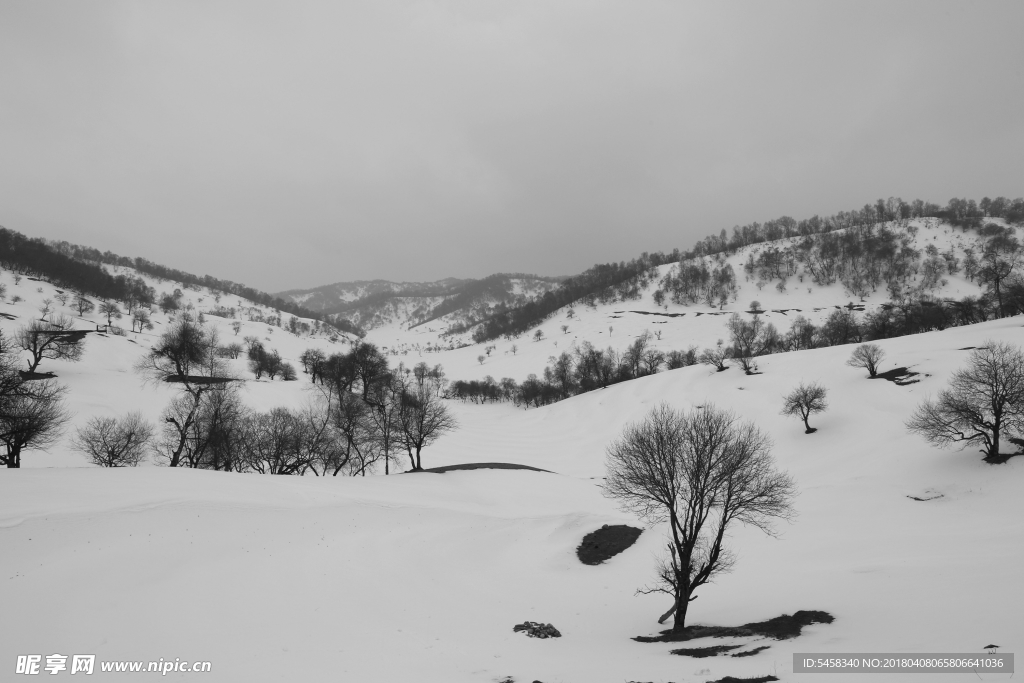 关山雪景