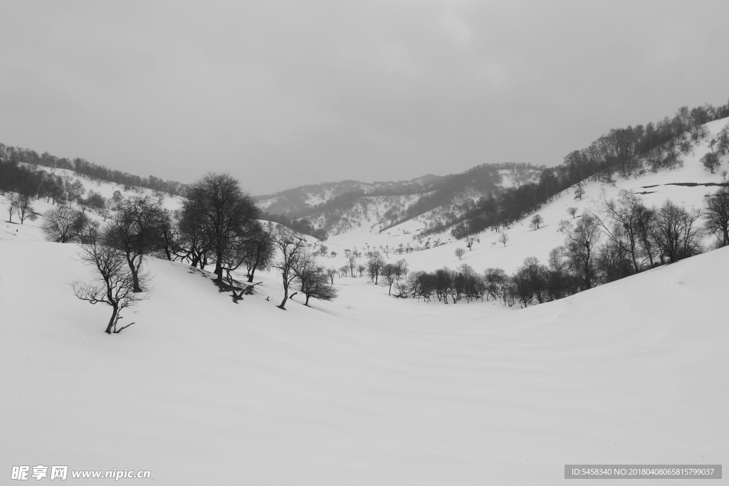关山雪景