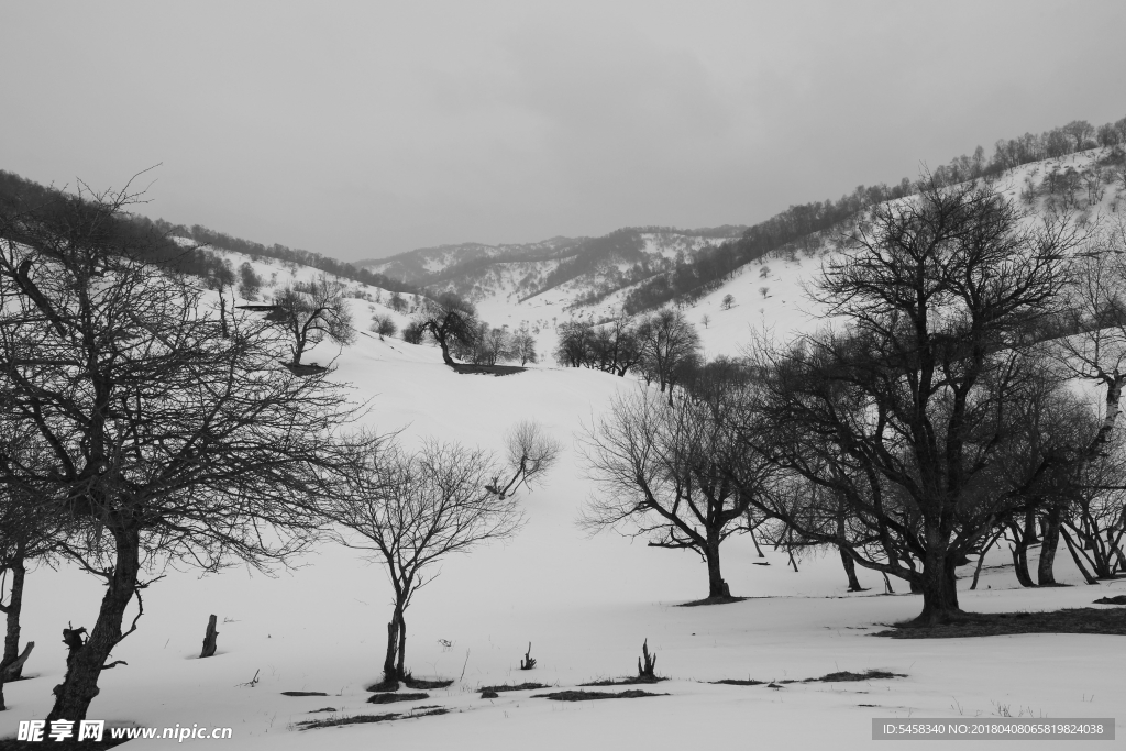 关山雪景