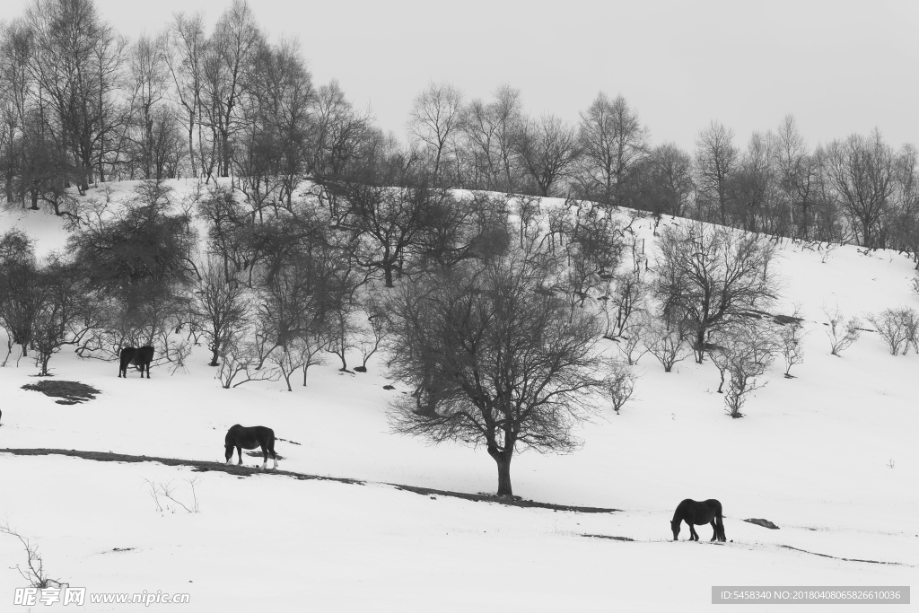 关山雪景