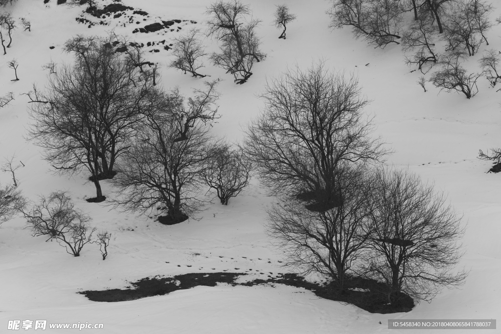 关山雪景