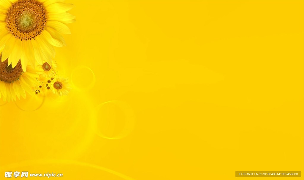 葵花
