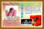 校园文化科技长篇