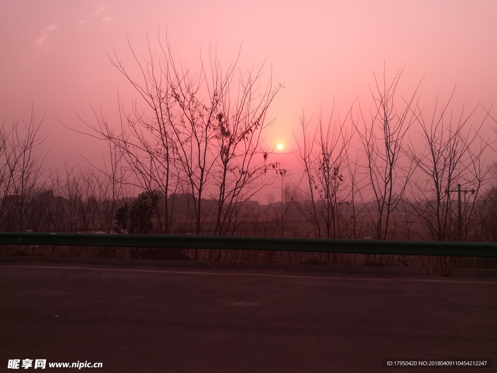 自然风景 日出 马路 枯树 太