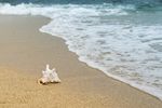 海边
