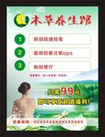养生传单