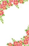 花朵边框