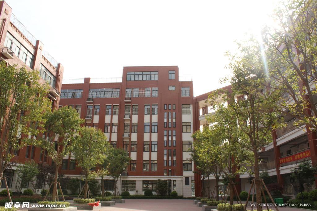 绿树校园