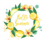 水彩绘夏季柠檬花环矢量图