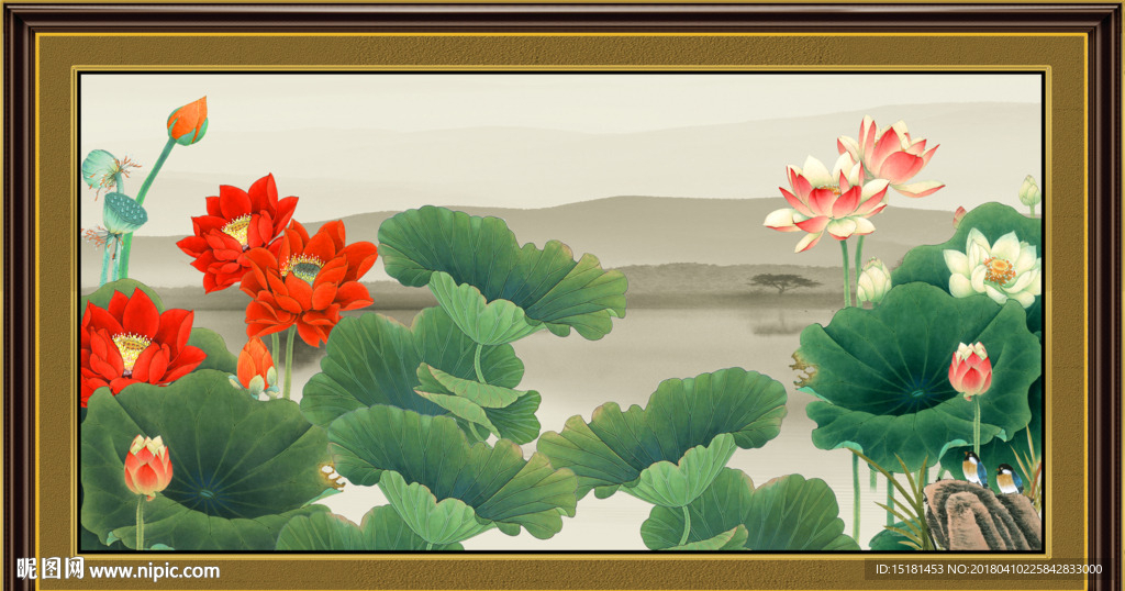 荷花图
