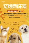 宠物粮食