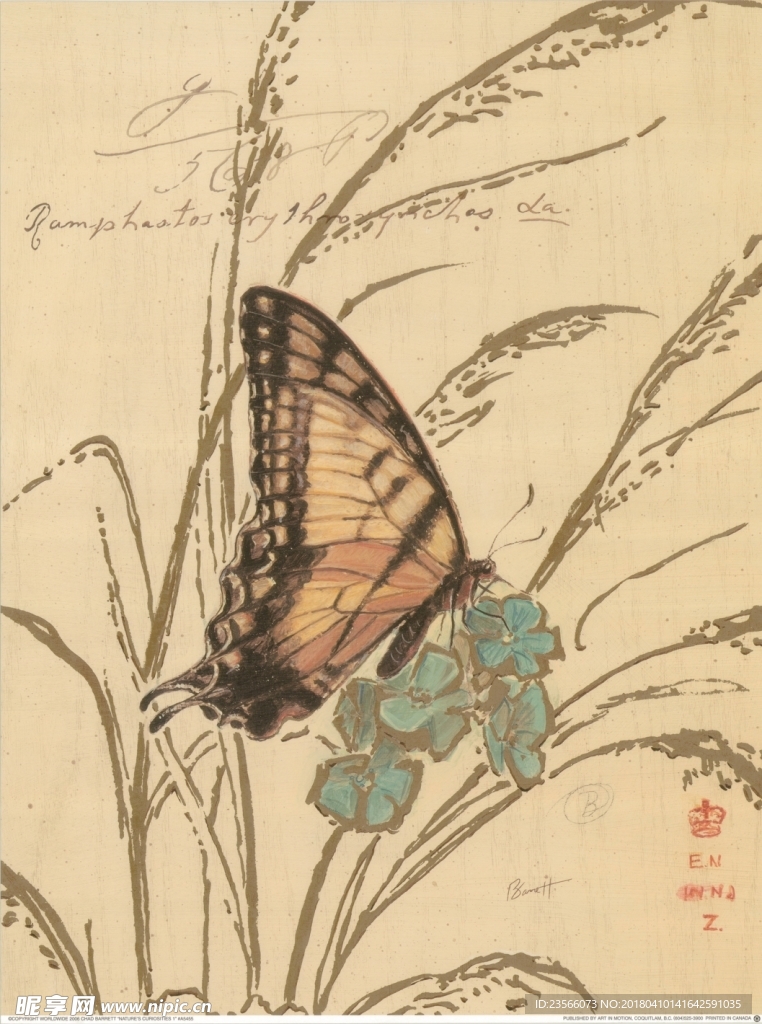 欧式复古花鸟蝴蝶油画