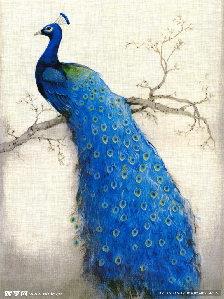 蓝色孔雀装饰画