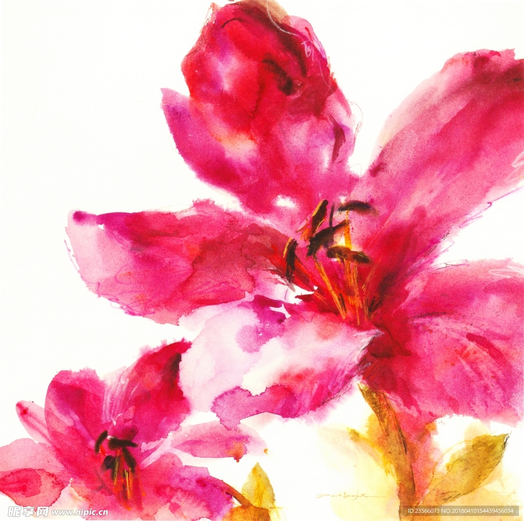 欧式复古彩色花朵花卉画