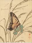 欧式复古植物蝴蝶画