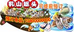 牡蛎乳山蛎头