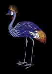 鸟类动物图案潮牌T恤印花图AI