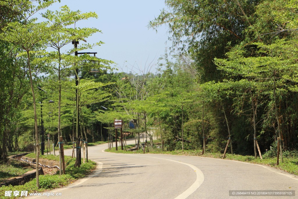 路