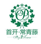 首开常青藤logo