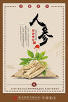 中药展板