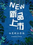 新品上市