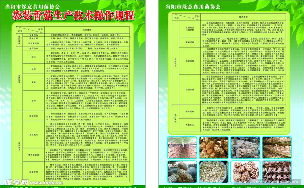 食用菌宣传单