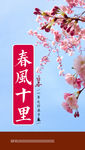 春风十里