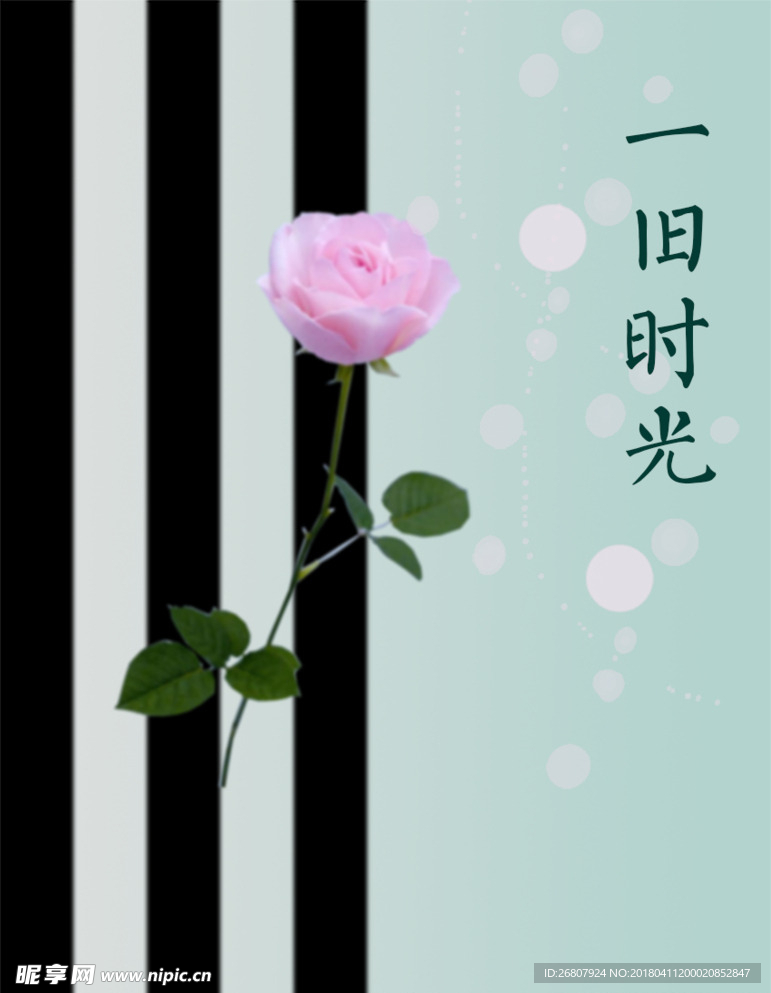 一朵玫瑰