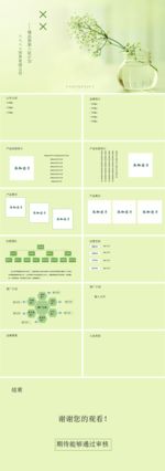 服装类公司入驻商城审核PPT