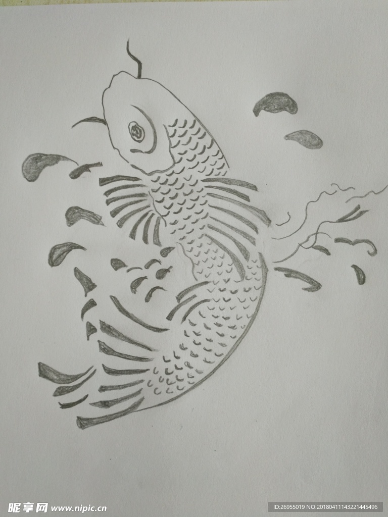 鱼跃