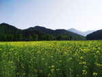 田畈