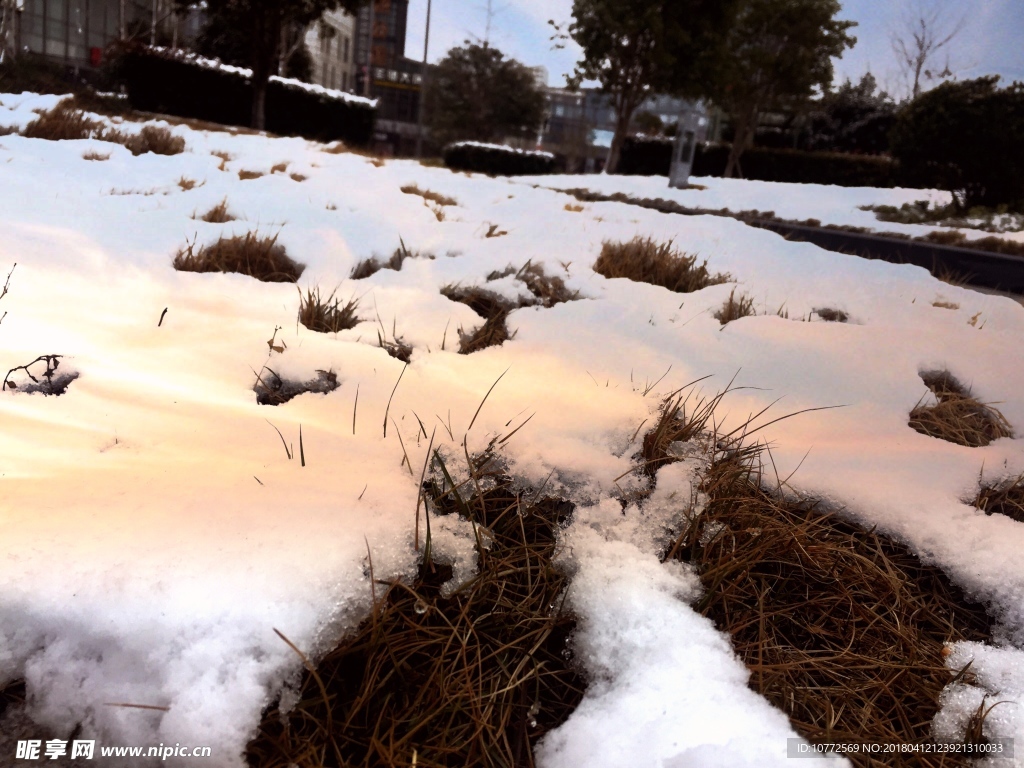 雪地