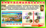 胡蜂养殖业