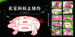 猪肉分解图