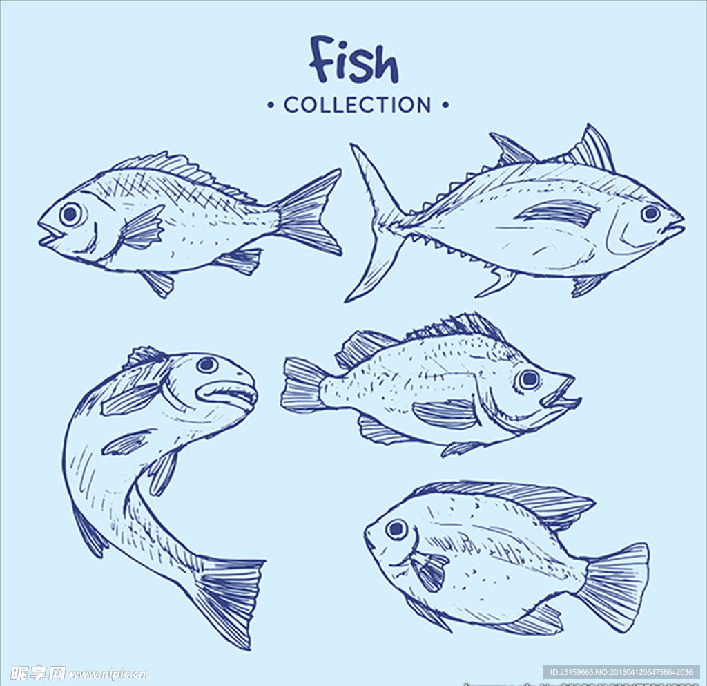 手绘风格海洋鱼类插图