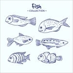 手绘风海洋鱼类插图