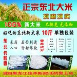 东北大米