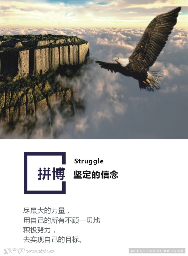 拼博