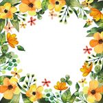 花边边框