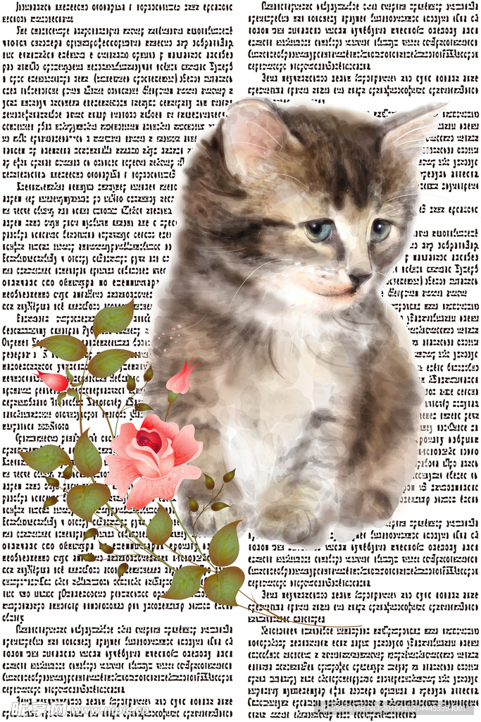 害羞的猫猫