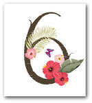 花数字图片