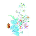 版画插图系列