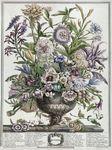 版画插图系列