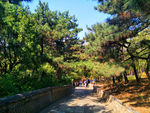 山路