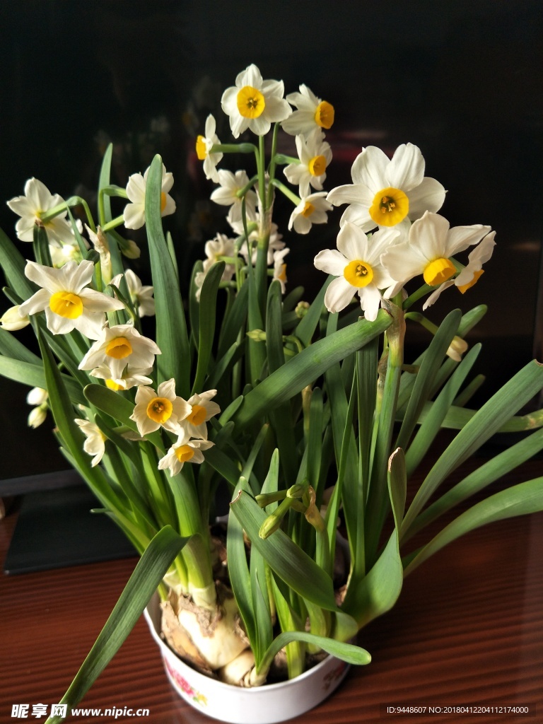 水仙花