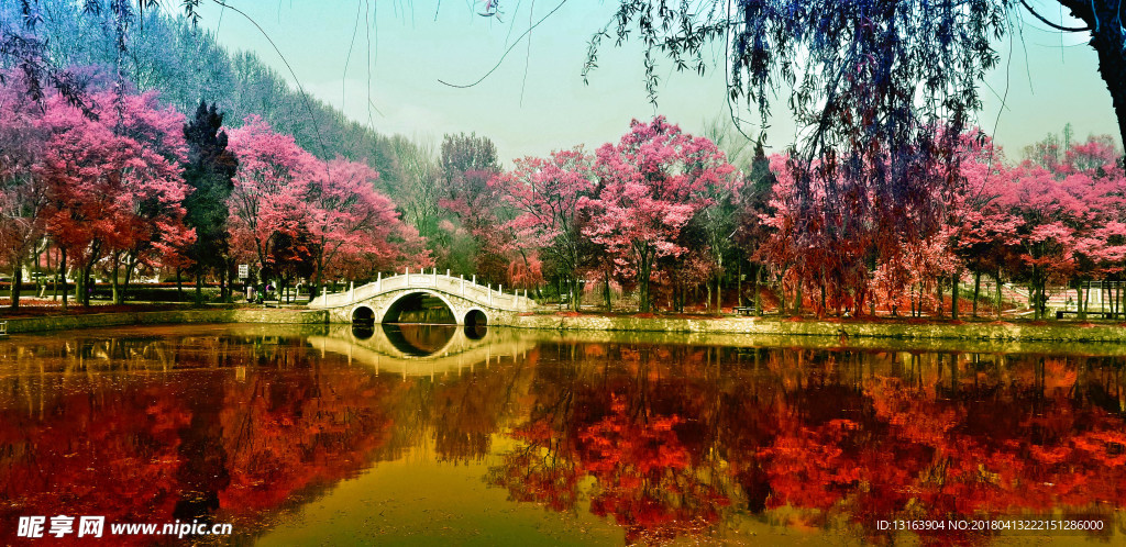 园林风景