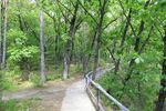自然风景