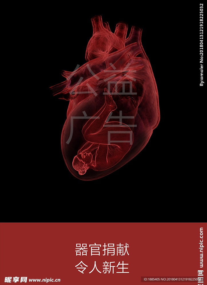 器官捐献公益广告心脏