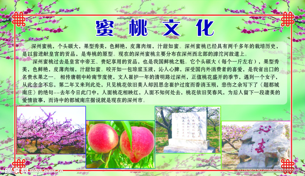 蜜桃文化展板